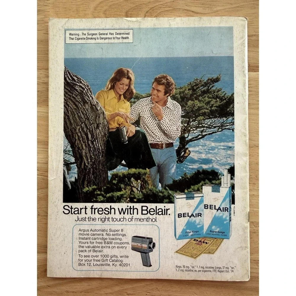 DECORATING & CRAFT IDEAS‎ Magazine August 1975 Needlework, Fabric Fruit, History
